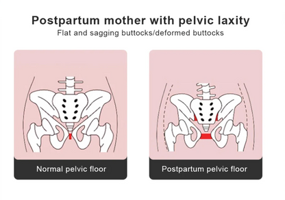 Pelvic Floor and Thigh Trainer